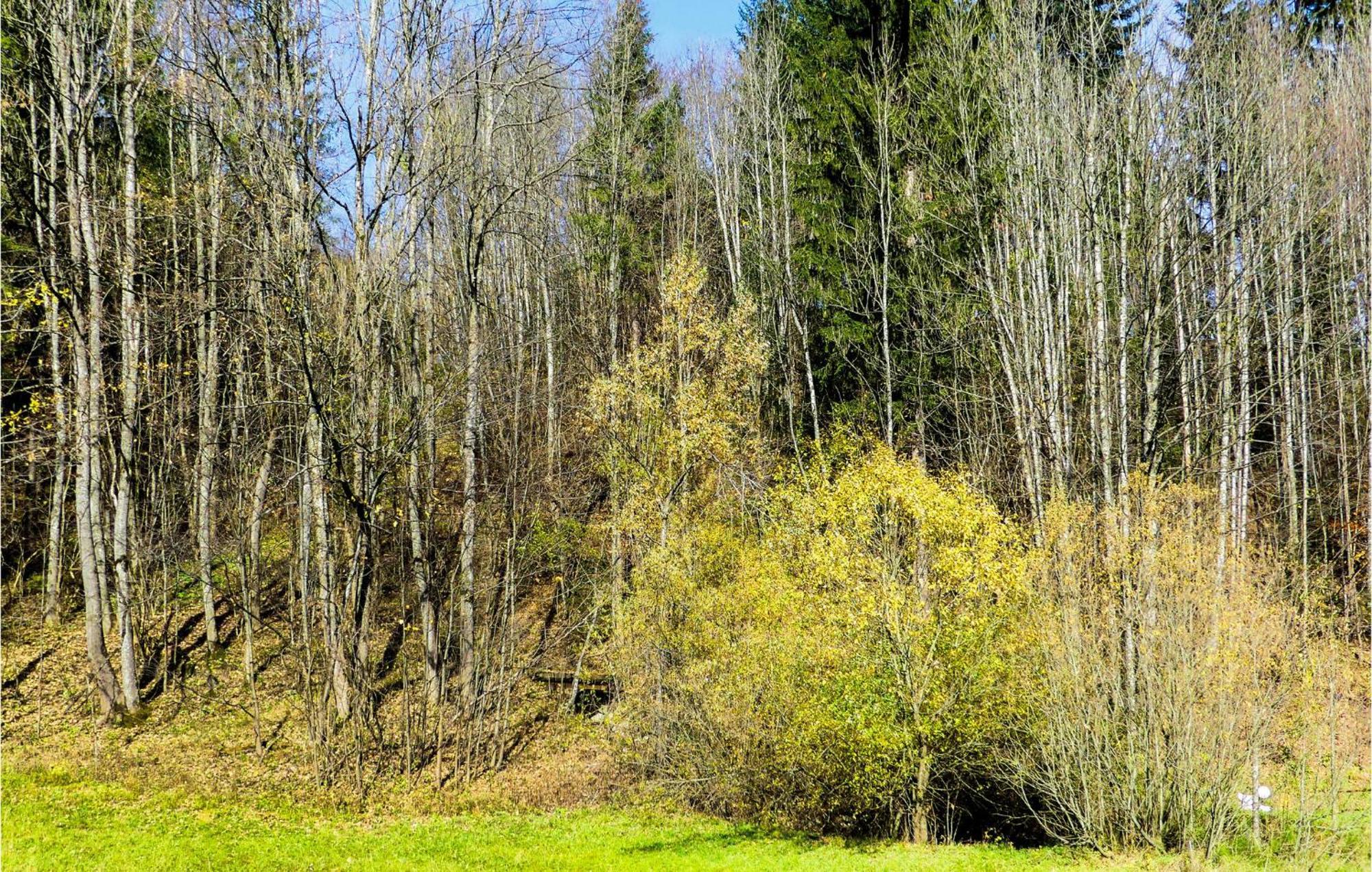 Ferienwohnung-Annaberg エクステリア 写真